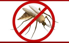 डासांची उत्पत्ती रोखुया, हिवतापाचे निर्मुलन करूया