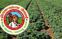 खरीप हंगाम २०२३ च्या पीक स्पर्धेचे राज्यस्तरीय निकाल जाहीर