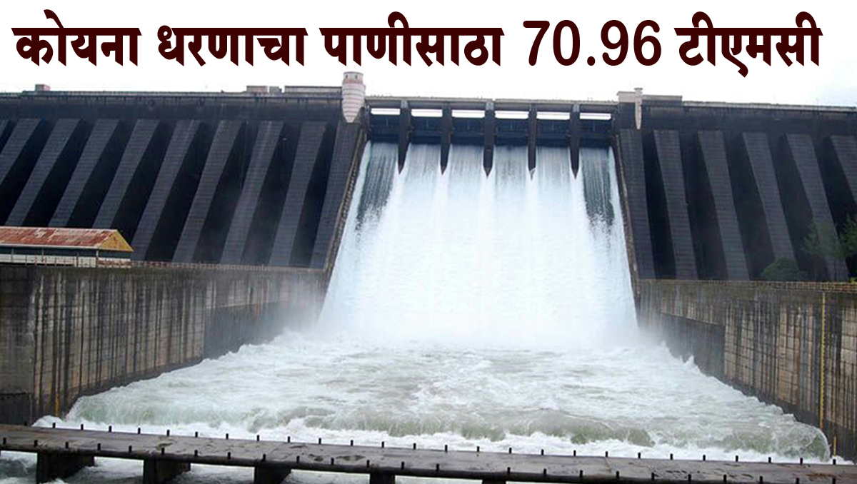 कोयना धरणात 70.96 टीएमसी पाणीसाठा, पाणलोट क्षेत्रात दमदार पाऊस सुरूच