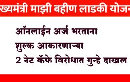 मुख्यमंत्री माझी लाडकी बहीण योजना : ऑनलाईन अर्ज भरताना शुल्क आकारणाऱ्या 2 नेट कॅफे विरोधात गुन्हे दाखल