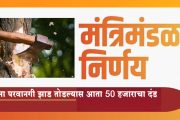 विना परवानगी झाड तोडल्यास आता 50 हजाराचा दंड; राज्य मंत्रिमंडळाच्या बैठकीत निर्णय