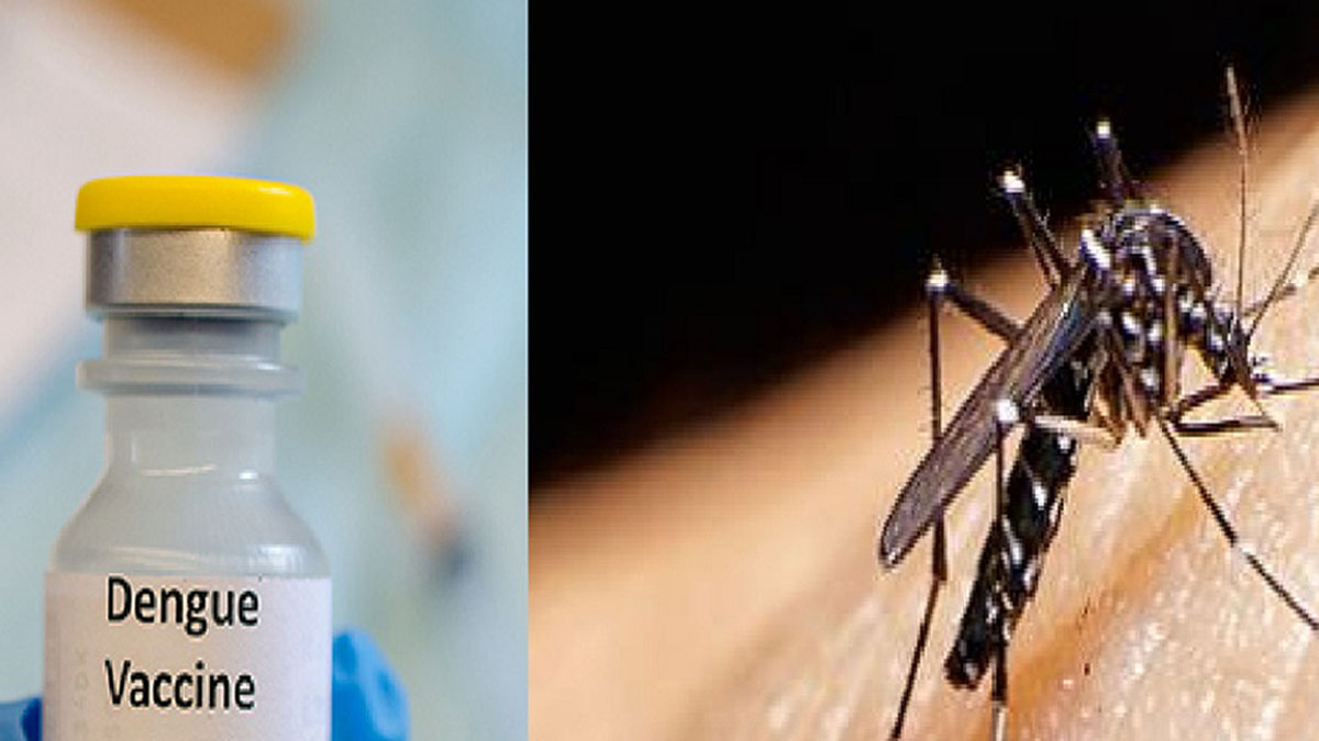 डेंग्यूपासून आता बचाव! भारतातील पहिल्या स्वदेशी डेंग्यू लसीच्या तिसऱ्या टप्प्यातील क्लिनिकल ट्रायलची सुरुवात