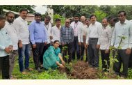 कामेरी येथे न्यू इंग्लिश स्कूलमध्ये माजी विद्यार्थ्यांच्या वतीने वृक्षारोपण