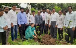 कामेरी येथे न्यू इंग्लिश स्कूलमध्ये माजी विद्यार्थ्यांच्या वतीने वृक्षारोपण