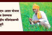 PM Aasha scheme : शेतकऱ्यांना दिलासा, पीएम-आशा योजना सुरू ठेवण्यास केंद्रीय मंत्रिमंडळाची मंजुरी