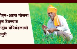 PM Aasha scheme : शेतकऱ्यांना दिलासा, पीएम-आशा योजना सुरू ठेवण्यास केंद्रीय मंत्रिमंडळाची मंजुरी