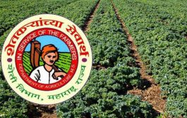 शेतकऱ्यांसाठी पीक प्रात्यक्षिक योजना; ६ ऑक्टोबरपर्यंत येथे करा ऑनलाईन अर्ज