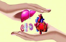 मरावे परी देहरुपी उरावे...