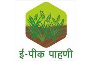 E-Peek Pahani : शेतकऱ्यांना दिलासा ...ई-पीक पाहणी नोंदणीस मुदतवाढ