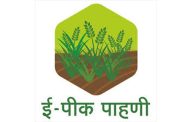 E-Peek Pahani : शेतकऱ्यांना दिलासा ...ई-पीक पाहणी नोंदणीस मुदतवाढ
