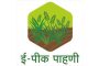 E-Peek Pahani : शेतकऱ्यांना दिलासा ...ई-पीक पाहणी नोंदणीस मुदतवाढ