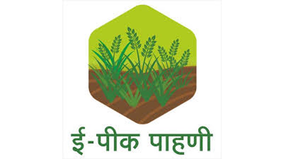 E-Peek Pahani : शेतकऱ्यांना दिलासा ...ई-पीक पाहणी नोंदणीस मुदतवाढ