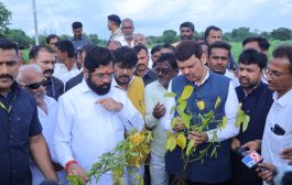 अतिवृष्टीने झालेल्या नुकसानीच्या पाहणीसाठी मुख्यमंत्री, उपमुख्यमंत्री शेतकऱ्यांच्या बांधावर