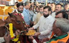 मुख्यमंत्र्यांनी केले गोमातेचे पूजन
