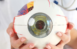 खुपऱ्याविरोधातील लढाईत भारताचा विजय, ट्रॅकोमा (खुपऱ्या) मुक्त भारत