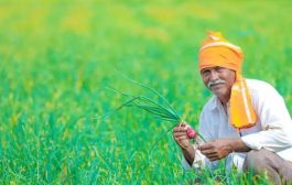गुड न्यूज ! राज्यातील शेतकऱ्यांच्या खात्यात आज जमा होणार 4 हजार रुपये