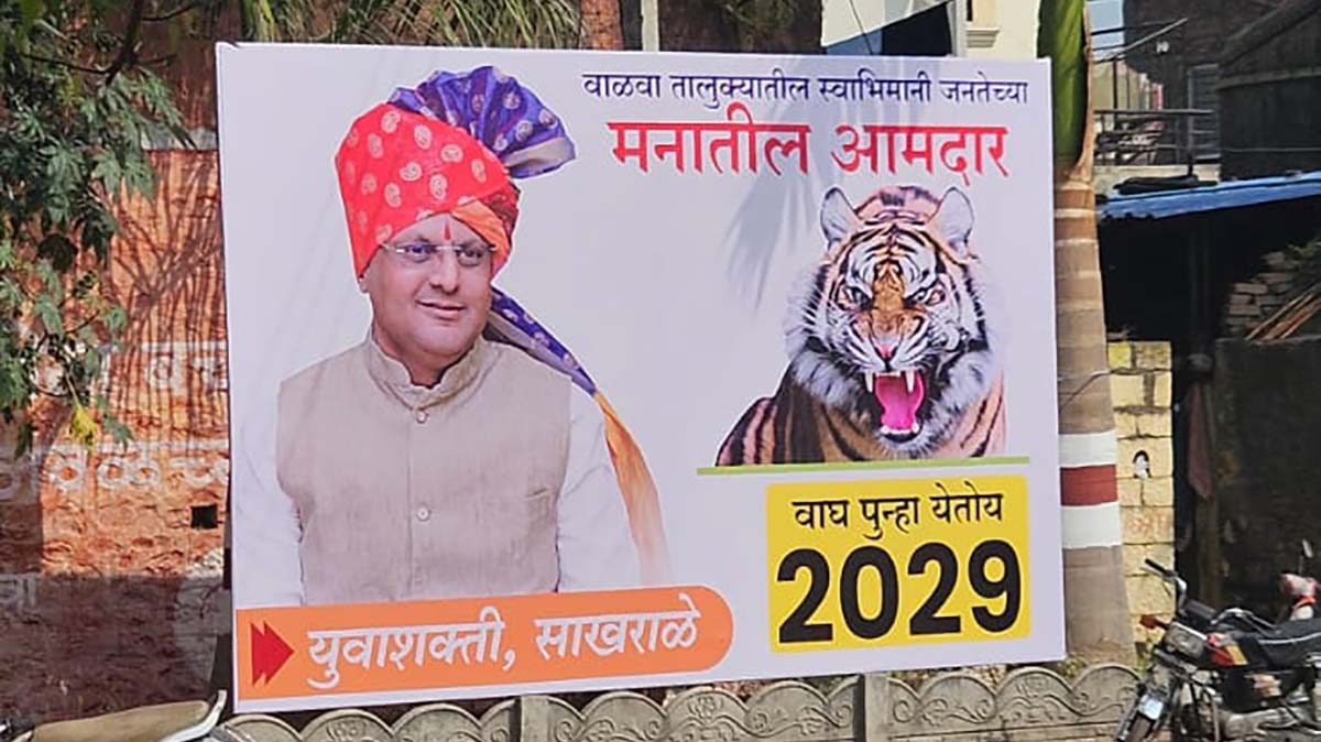 वाघ पुन्हा येतोय...