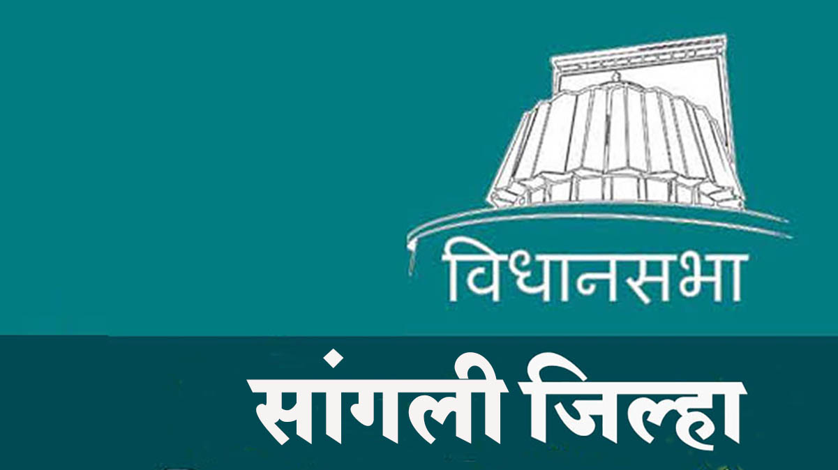 सांगली जिल्ह्यात अंदाजित सरासरी 71.57 टक्के मतदान