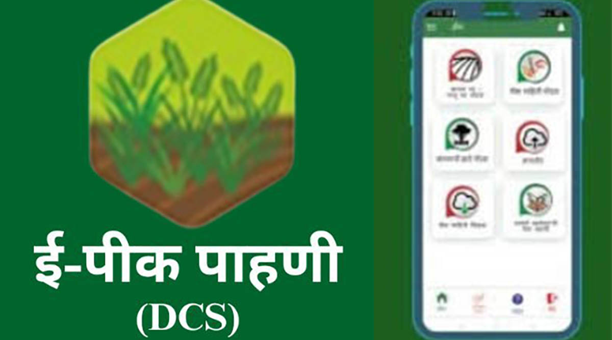 रब्बी हंगामातील ई-पीक पाहणी प्रक्रीया पूर्ण करा...