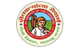 रब्बी पीक स्पर्धेसाठी अर्ज करण्याची 31 डिसेंबर अंतिम तारीख