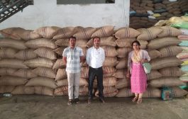 अन्न औषध प्रशासनाकडून सोलापुरात ७० लाखाची रंगमिश्रित किटकबाधित सुपारी जप्त