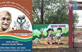 मनरेगातून जि.प.शाळांचे सौंदर्यीकरण, सुविधाविकास; जिल्हाधिकाऱ्यांनी मागविले शाळानिहाय नियोजन