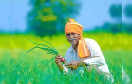 RBI चा निर्णय : कृषी कर्जाची मर्यादा वाढवली, आता विनातारण २ लाखांचे कर्ज!