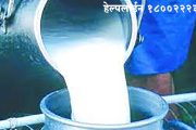 दूध, अन्नपदार्थांमध्ये भेसळ आढळल्यास 'या' हेल्पलाईनवर संपर्क करा