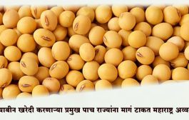 सोयाबीन खरेदी करणाऱ्या प्रमुख पाच राज्यांना मागं टाकत महाराष्ट्र अव्वल