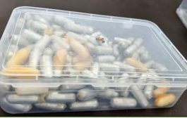 मोठी कारवाई! मुंबई विमानतळावर 16.49 कोटी रुपये किमतीचे कोकेन केले जप्त; एका प्रवाशाला केली अटक