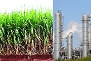 केंद्राने विद्यमान ऊस-आधारित फीडस्टॉक इथेनॉल प्लांटचे मल्टी-फीडस्टॉक आधारित प्लांटमध्ये रूपांतर करण्याची योजना अधिसूचित केली