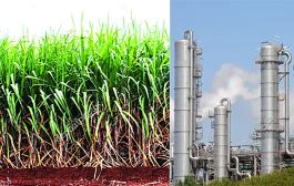 केंद्राने विद्यमान ऊस-आधारित फीडस्टॉक इथेनॉल प्लांटचे मल्टी-फीडस्टॉक आधारित प्लांटमध्ये रूपांतर करण्याची योजना अधिसूचित केली