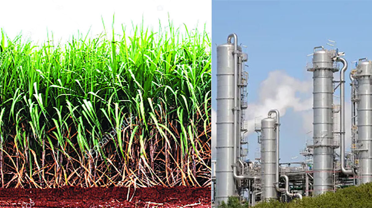 केंद्राने विद्यमान ऊस-आधारित फीडस्टॉक इथेनॉल प्लांटचे मल्टी-फीडस्टॉक आधारित प्लांटमध्ये रूपांतर करण्याची योजना अधिसूचित केली