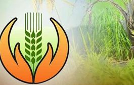 राज्यातील ६४ लाख शेतकऱ्यांना मिळणार २५५५ कोटी रुपये विमा नुकसान भरपाई