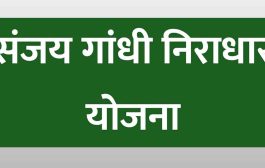 संजय गांधी निराधार योजनेमधील बोगस लाभार्थ्यांची होणार सखोल चौकशी