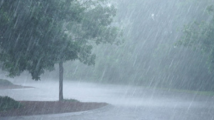 राज्यात पुढील काही दिवस वादळी वाऱ्यासह मुसळधार पावसाचा इशारा