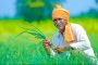 शेतकऱ्यांच्या परदेश अभ्यास दौऱ्यासाठी करा नवीन अर्ज…या अटी रद्द, निकषात बदल