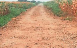 शेत रस्ते होणार 12 फुटांचे, ६० वर्षानंतर महायुती सरकारचा क्रांतिकारी निर्णय