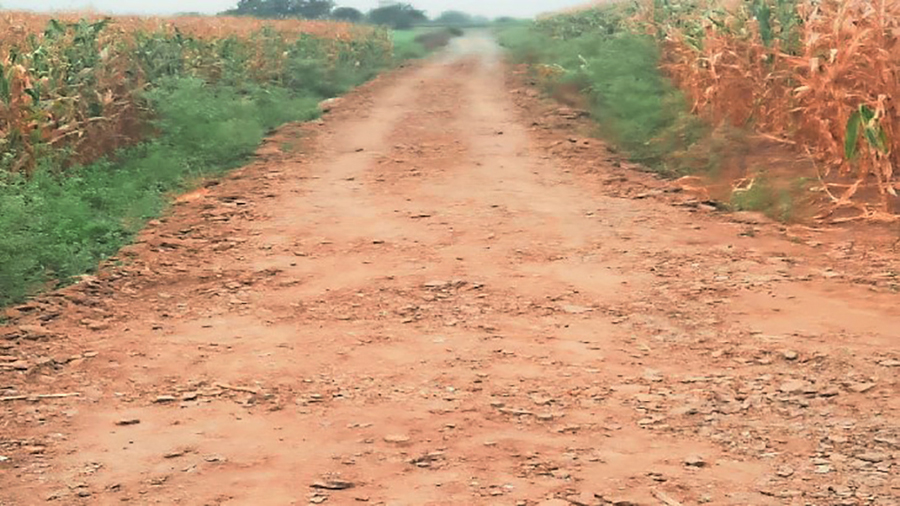 शेत रस्ते होणार 12 फुटांचे, ६० वर्षानंतर महायुती सरकारचा क्रांतिकारी निर्णय