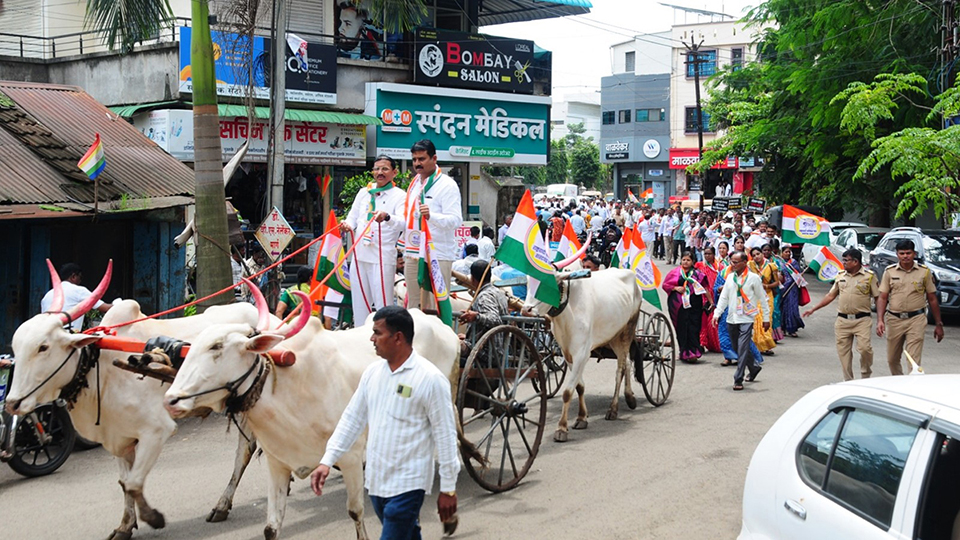 'राष्ट्रवादी'ची शेतकऱ्यांच्या विविध प्रश्नांवर बैलगाड्या व ट्रॅक्टर मोर्चाने वाळवा पंचायत समितीवर धडक
