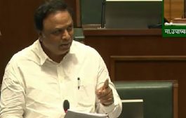 गणेशोत्सव आता, महाराष्ट्र राज्याचा महोत्सव!; मंत्री आशिष शेलार यांची विधानसभेत घोषणा