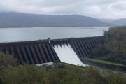 कोयना धरणातून पाण्याचा विसर्ग वाढवणार, नदीकाठच्या गावांना सतर्कतेचा इशारा