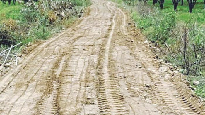 ग्रामीण शेत रस्त्यांना कायदेशीर ओळख देणारा सकारात्मक शासननिर्णय!