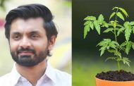 राजारामबापू समूहातील कर्मचाऱ्यांच्या दारात, शेतात वाढणार कडुलिंबाचे झाड