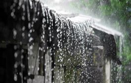 पुढील 24 तास धोक्याचे; राज्यात मुसळधार पाऊस, येथे रेड अलर्ट तर या जिल्ह्यांना ऑरेंज अलर्ट