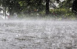 येत्या 8 ऑक्टोबर पासून राज्यातून मान्सून निरोप घेणार