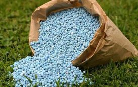 रब्बी 2025-26 हंगामासाठी फॉस्फेट आणि पोटॅश खतांवर पोषक तत्व आधारित अनुदान दरांना केंद्रीय मंत्रिमंडळाने दिली मान्यता