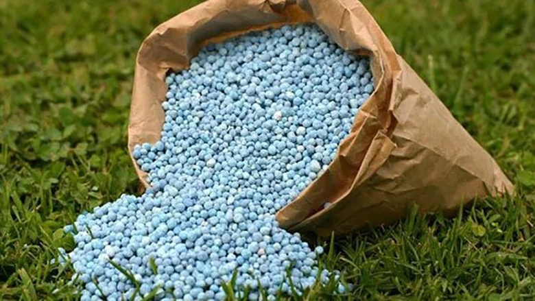 रब्बी 2025-26 हंगामासाठी फॉस्फेट आणि पोटॅश खतांवर पोषक तत्व आधारित अनुदान दरांना केंद्रीय मंत्रिमंडळाने दिली मान्यता