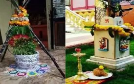 तुळसी विवाह : वैज्ञानिक दृष्टीकोन आणि धार्मिक महत्व, जाणून घ्या...