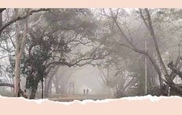 राज्यात थंडीचा कडाका वाढला! आरोग्याची काळजी कशी घ्यावी? जाणून घ्या 'या' टिप्स